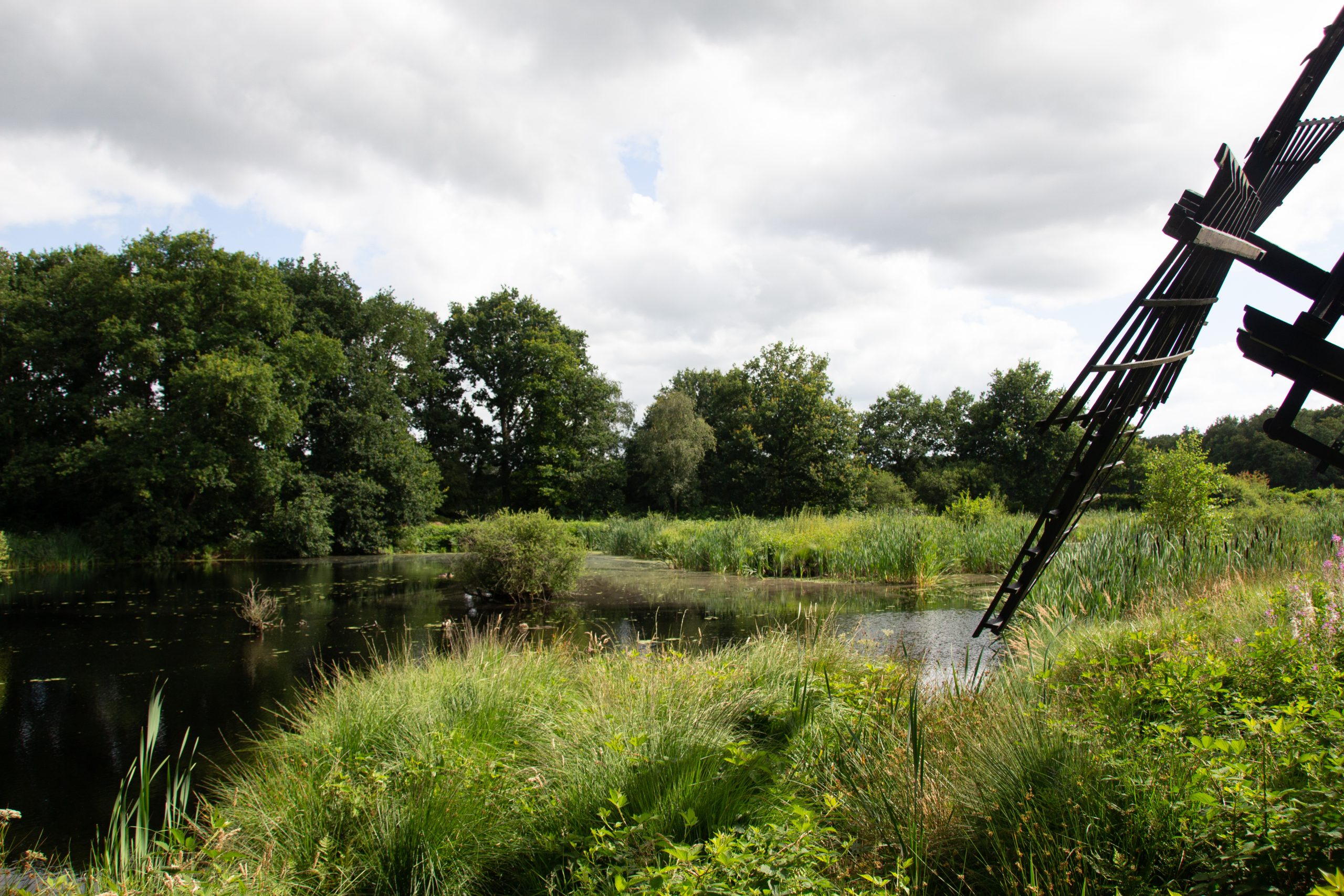 Vijver met riet, bomen en een deel van een windmolen onder een bewolkte hemel.