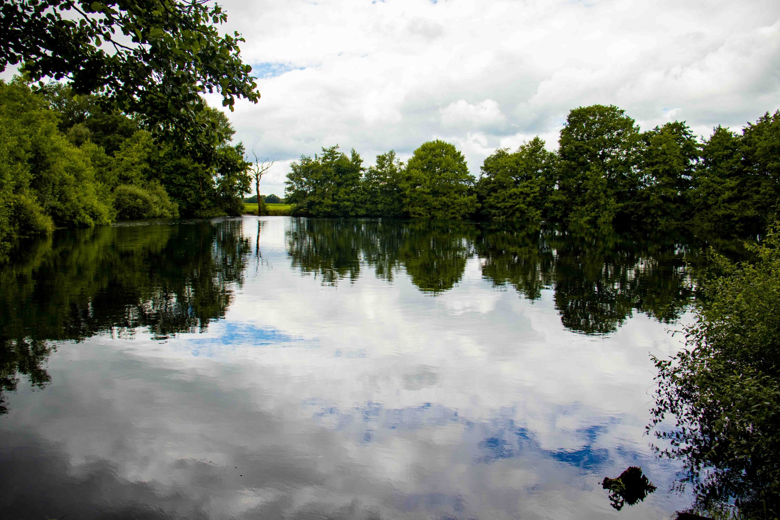 Rustig meer met weerspiegelende bomen en bewolkte hemel.