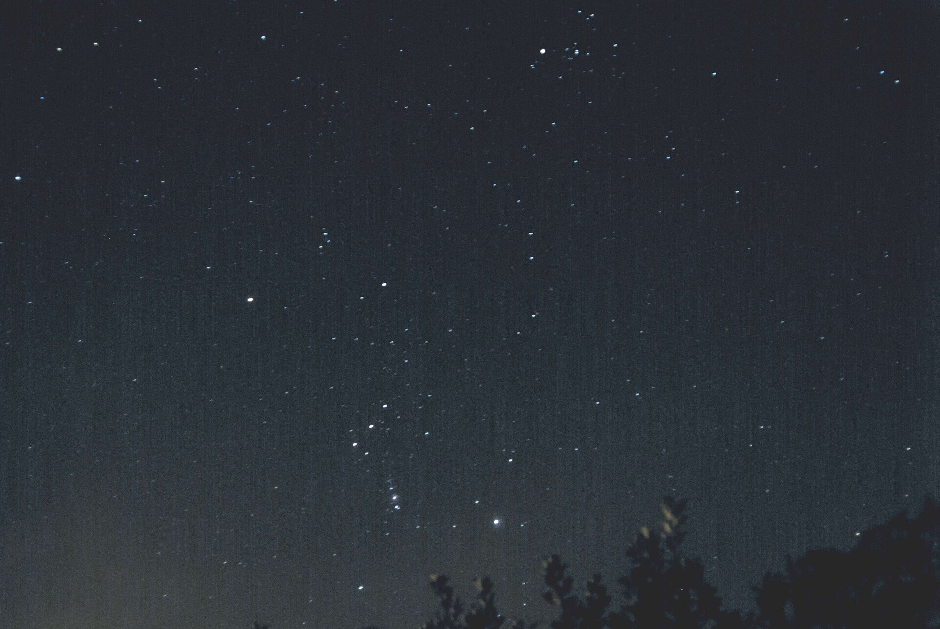 Heldere sterrenhemel met sterrenbeelden, silhouetten van bomen op de voorgrond.
