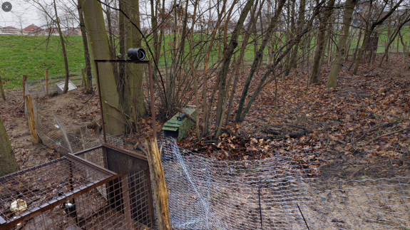 Vangkooi das zoogdierwerkgroep