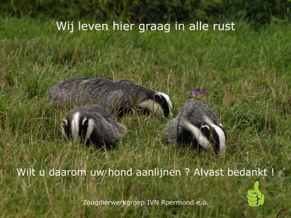 Roermond - bord dassen de Weerd