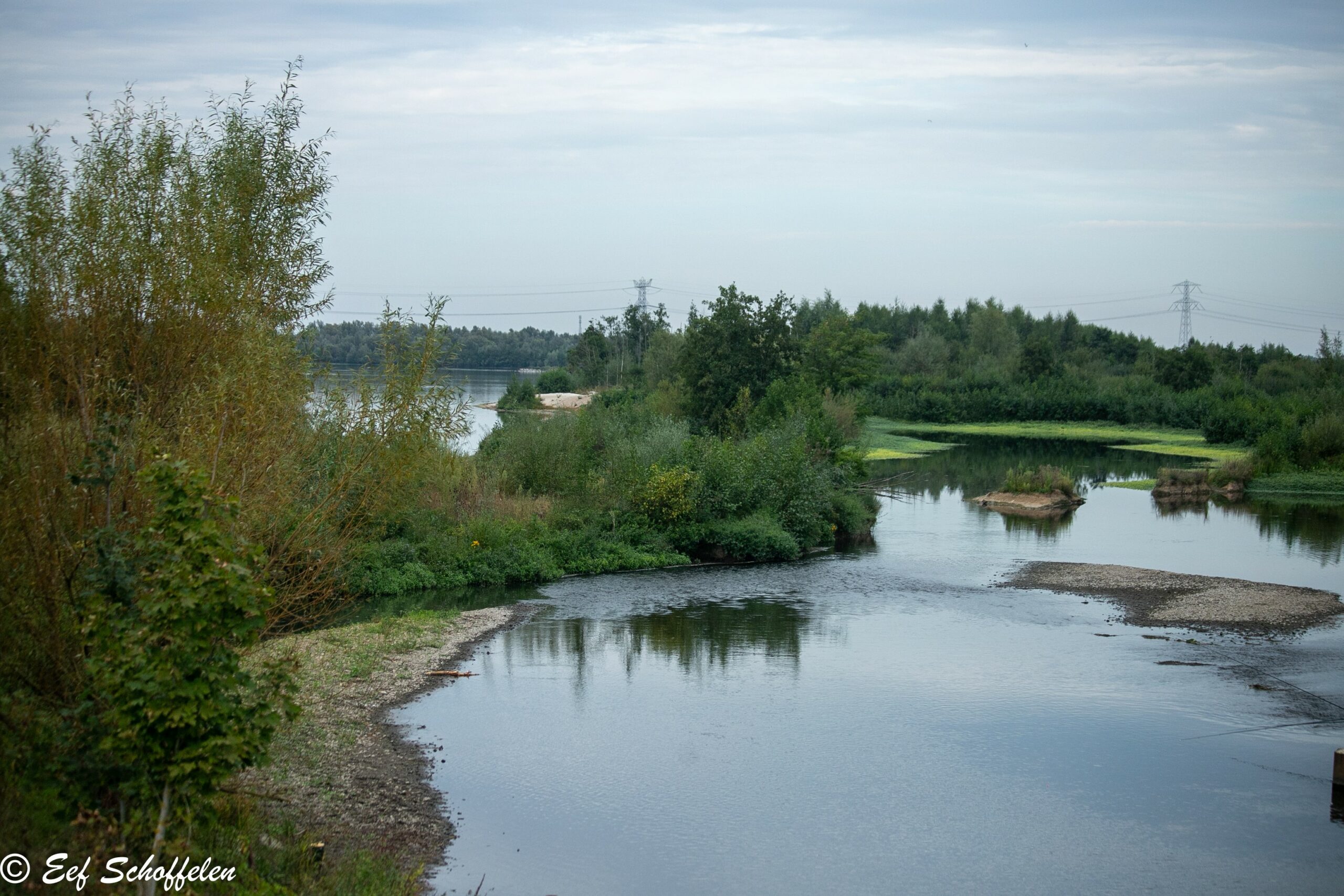 Rivierlandschap met bomen, struiken en grindkust; elektriciteitspaal op achtergrond.