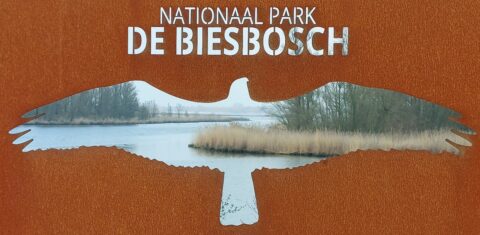 Silhouet van een vogel met rivierzicht, tekst: "Nationaal Park De Biesbosch" erboven.