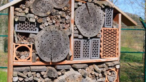 Insectenhotel van hout, bakstenen en takken in een omheinde tuin.