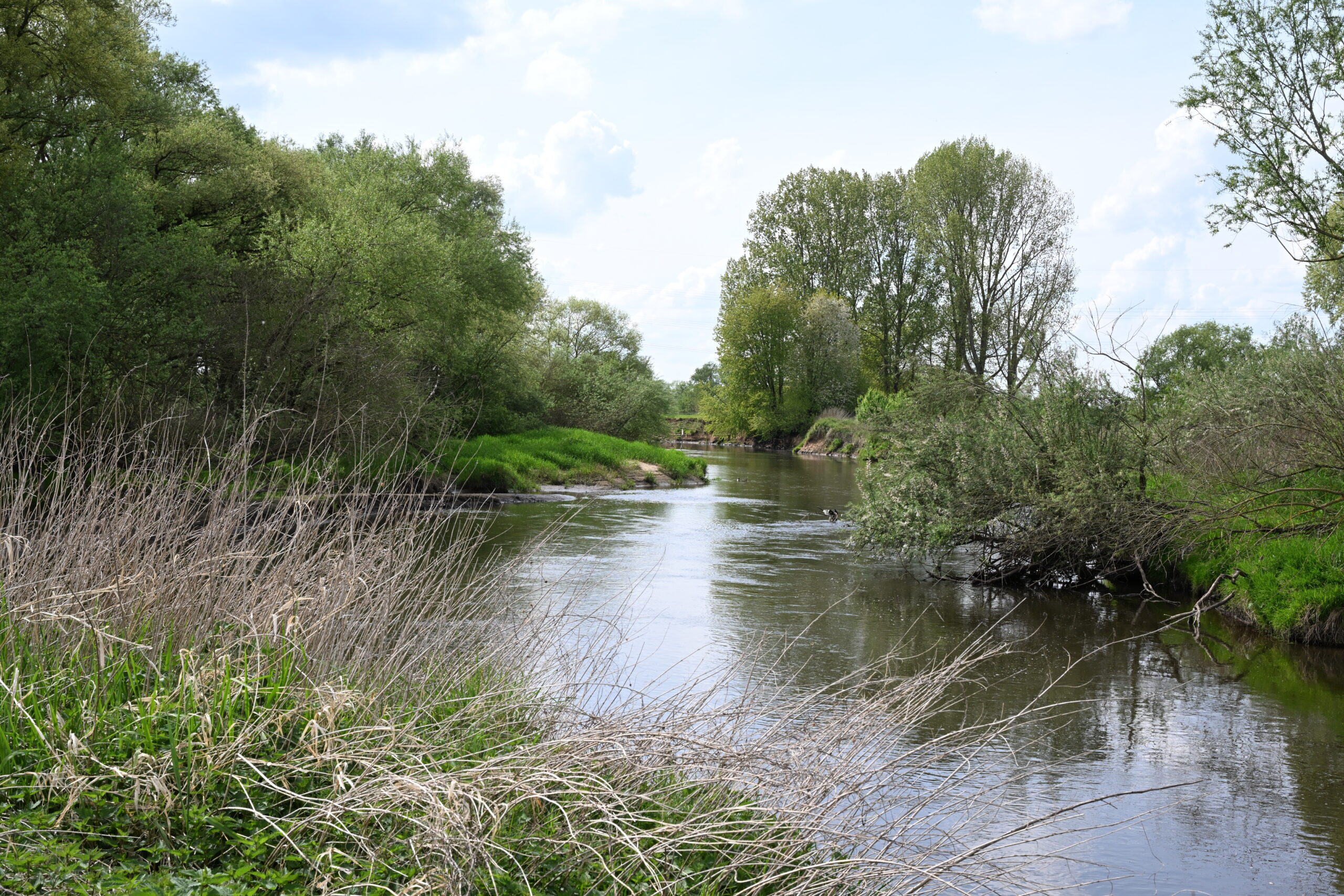 Rustige rivier omgeven door groen en bomen onder een bewolkte hemel.