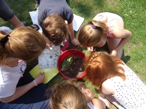 Kinderen onderzoeken een emmer met bladeren en aarde buiten op het gras.