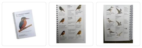 Drie foto's van een vogelgids met vogeltekeningen en beschrijvingen in een spiraalgebonden boek.