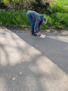 Persoon onderzoekt roze pootafdrukken op een zonnig pad naast gras.