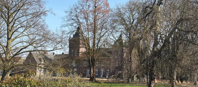 Bakstenen kasteel met torentje, door kale bomen heen, tegen een blauwe lucht.