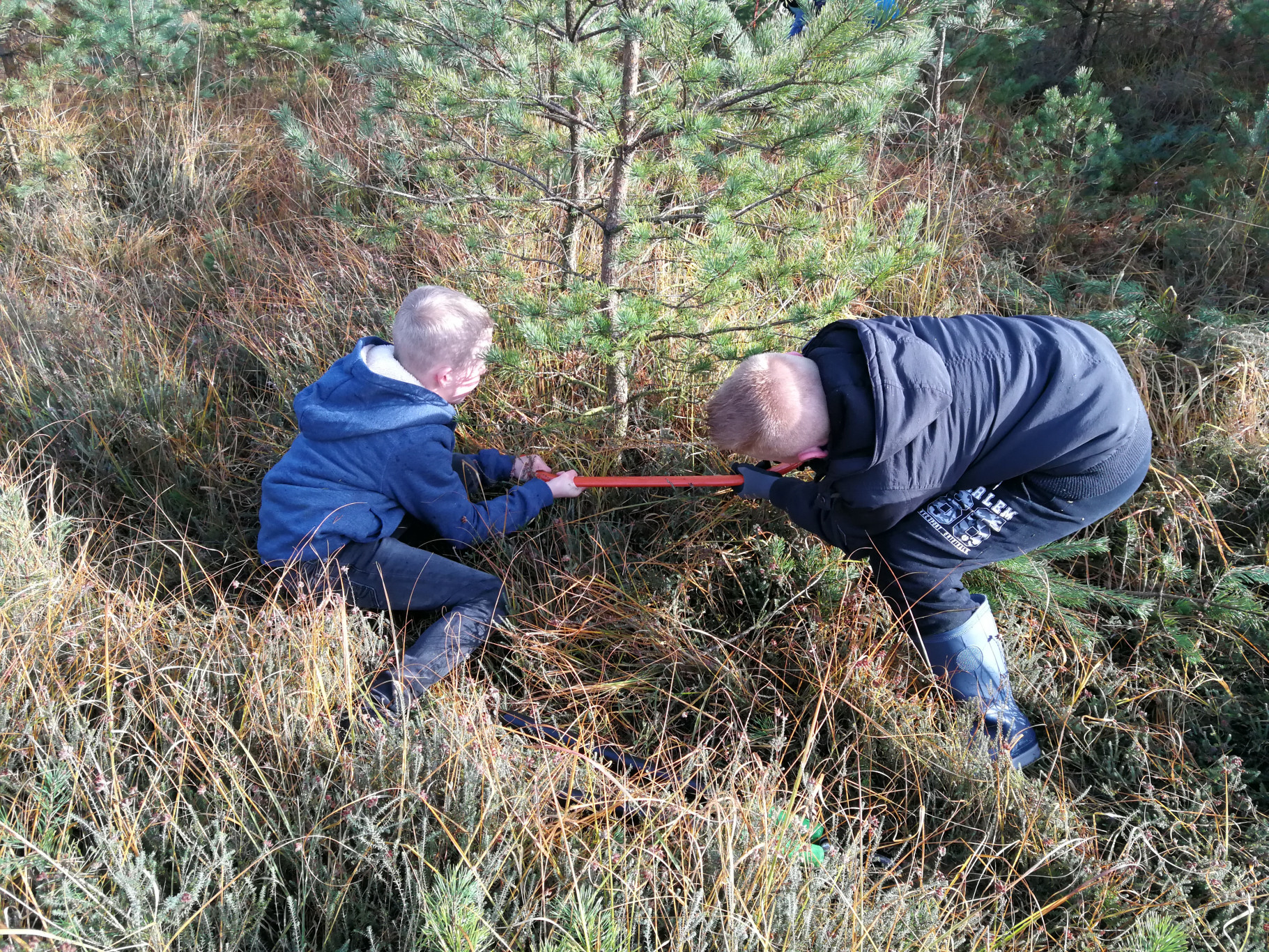 Natuurwerkdag
