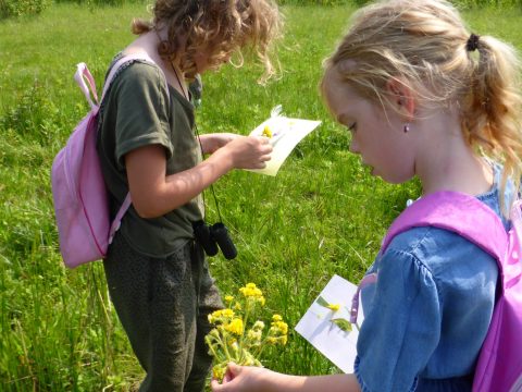Creatief in de natuur