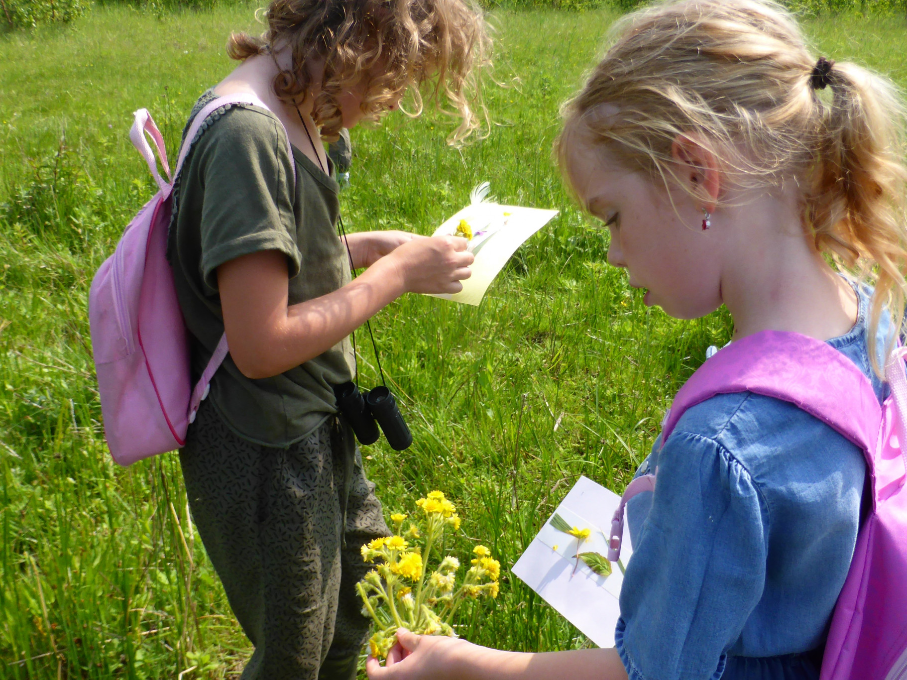 Creatief in de natuur