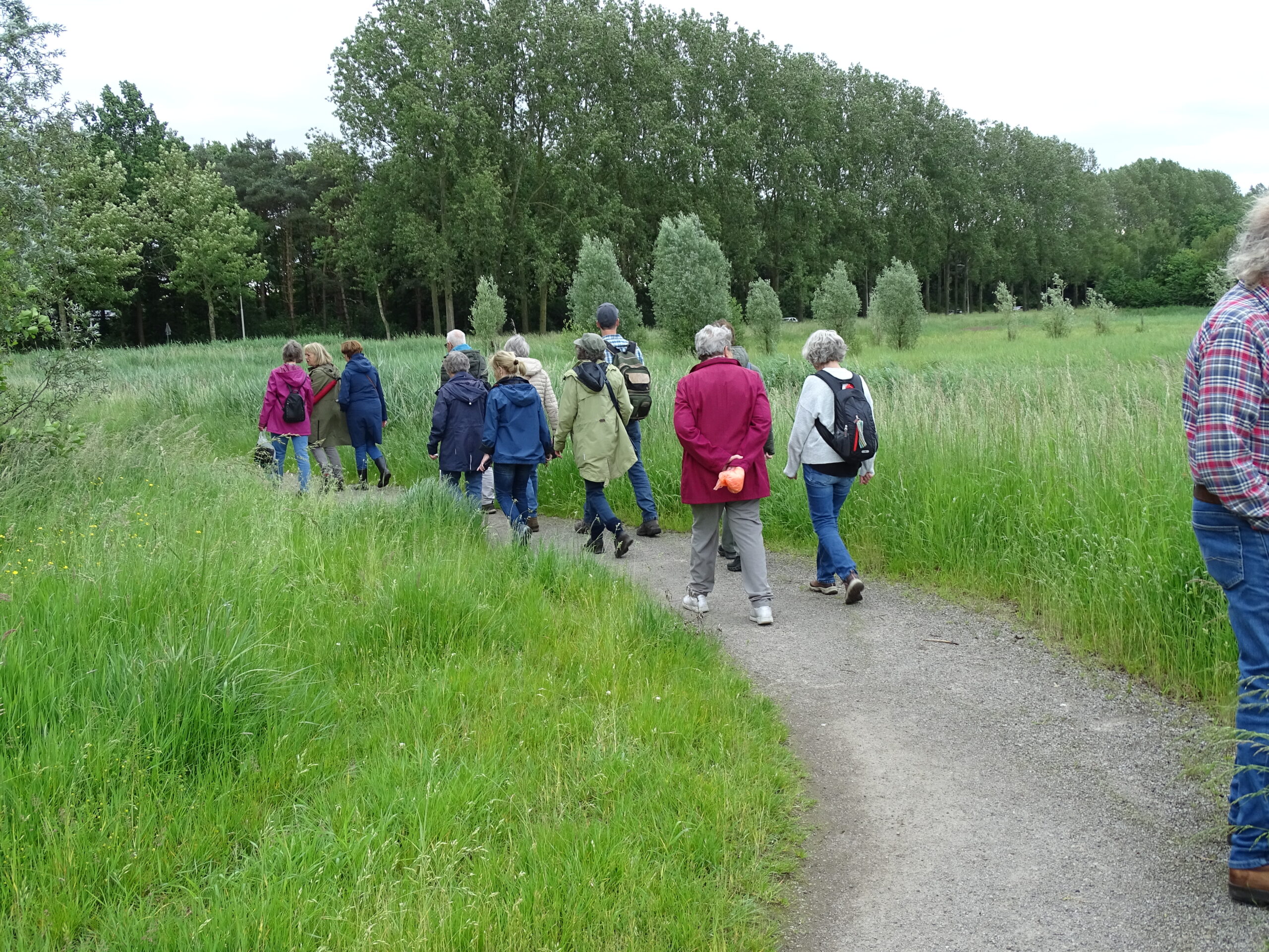 Groep wandelaars op een pad langs groene velden en bomen op een bewolkte dag.