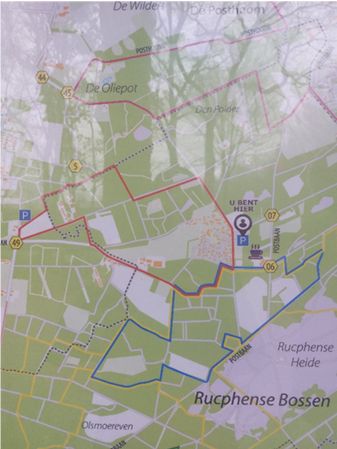 Kaart van wandelroutes in de Rucphense Bossen met gemarkeerde paden en parkeerplaatsen.