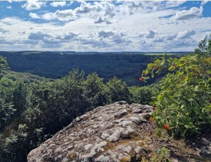 Uitzicht op een bebost heuvellandschap onder een deels bewolkte blauwe hemel.