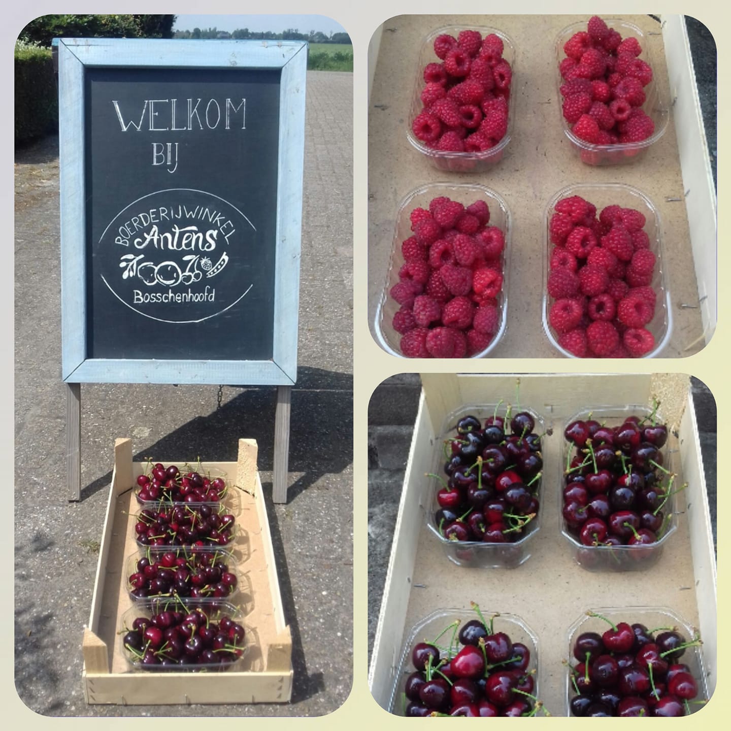 Krijtbord bij boerderijwinkel met mandjes frambozen en kersen ernaast op een zonnige dag.