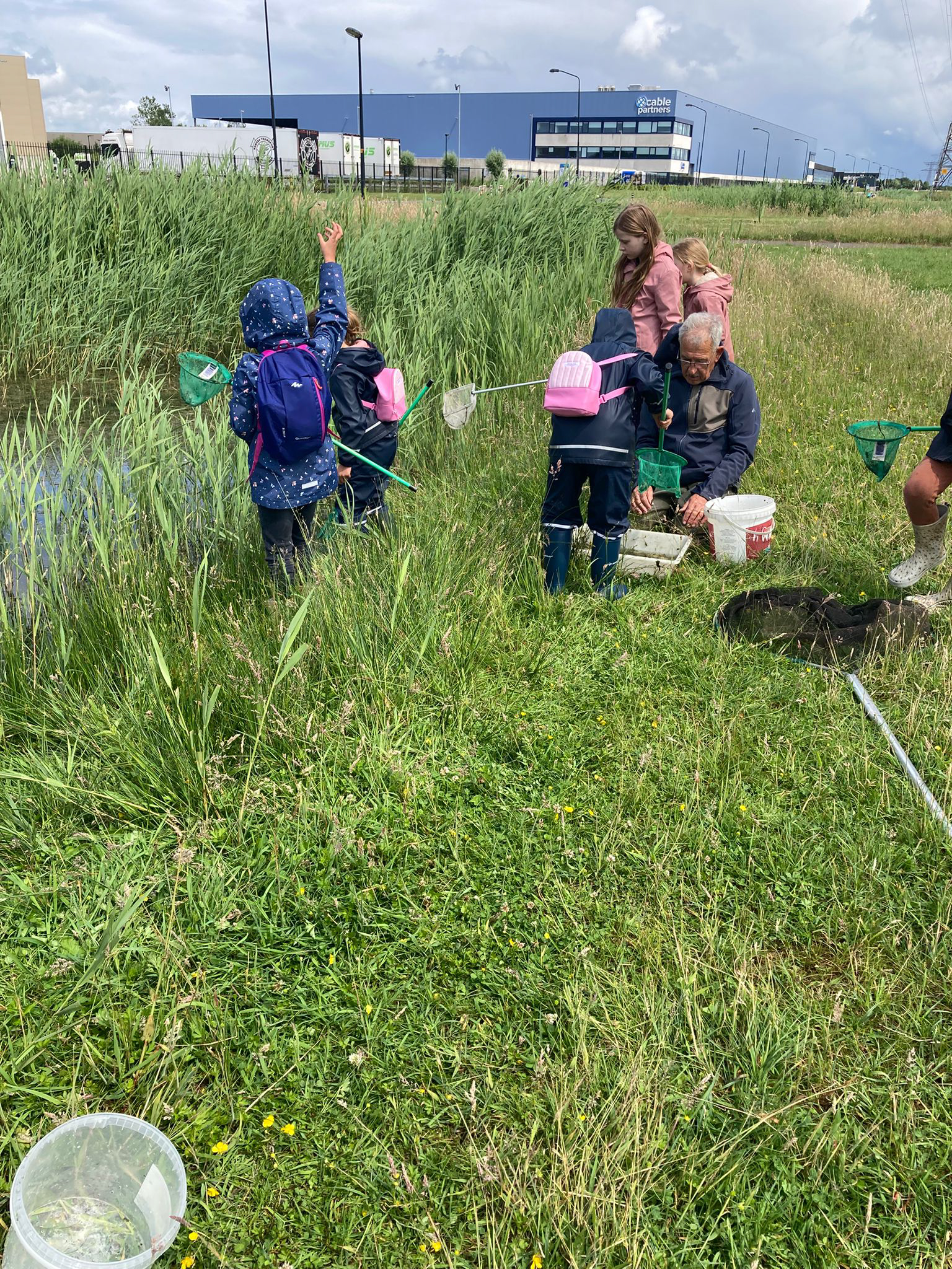 Kinderen met schepnetten onderzoeken water bij grasland. Volwassene helpt hen. Grote gebouw op achtergrond.