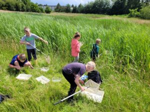 Kinderen onderzoeken grasland met schepnetten en bakken bij een vijver.