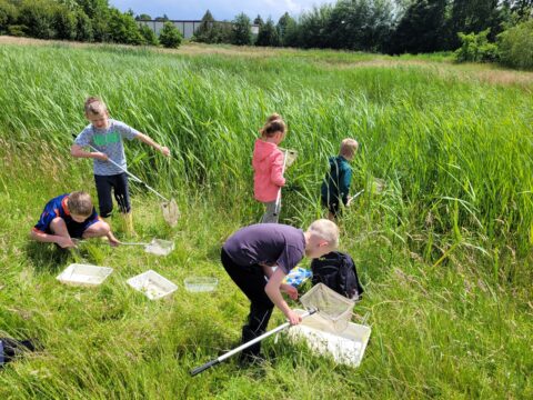 Kinderen onderzoeken grasland met schepnetten en bakken bij een vijver.