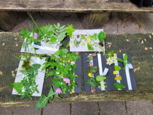 Natuurlijke collage van bladeren en bloemen op papier, uitgestald op een houten bank.
