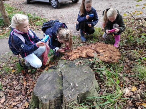 Vier kinderen bestuderen een paddenstoel op een boomstronk in het bos, met speelgoedcamera's in de hand.