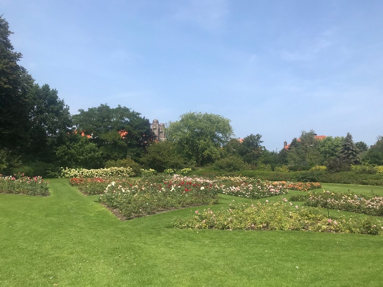 Rosarium