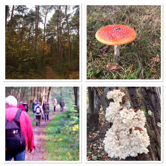 Bilthoven_collage