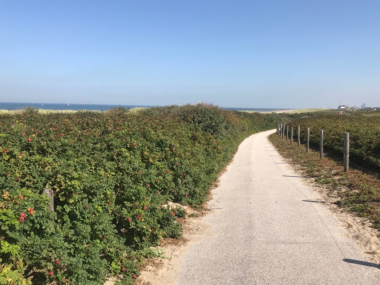 Duindorp-strandpad