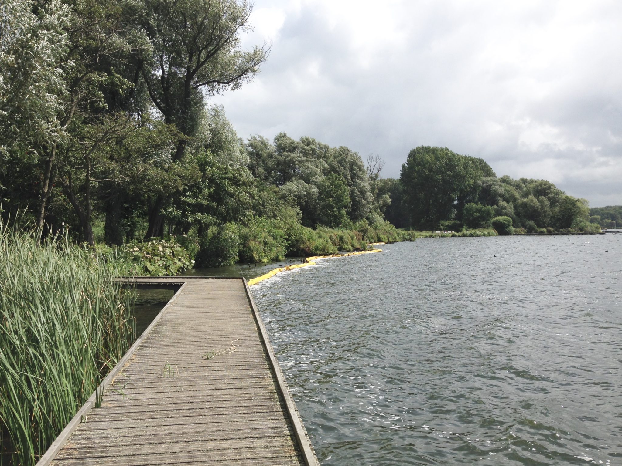 Het kralingse bos rotterdam en omstreken