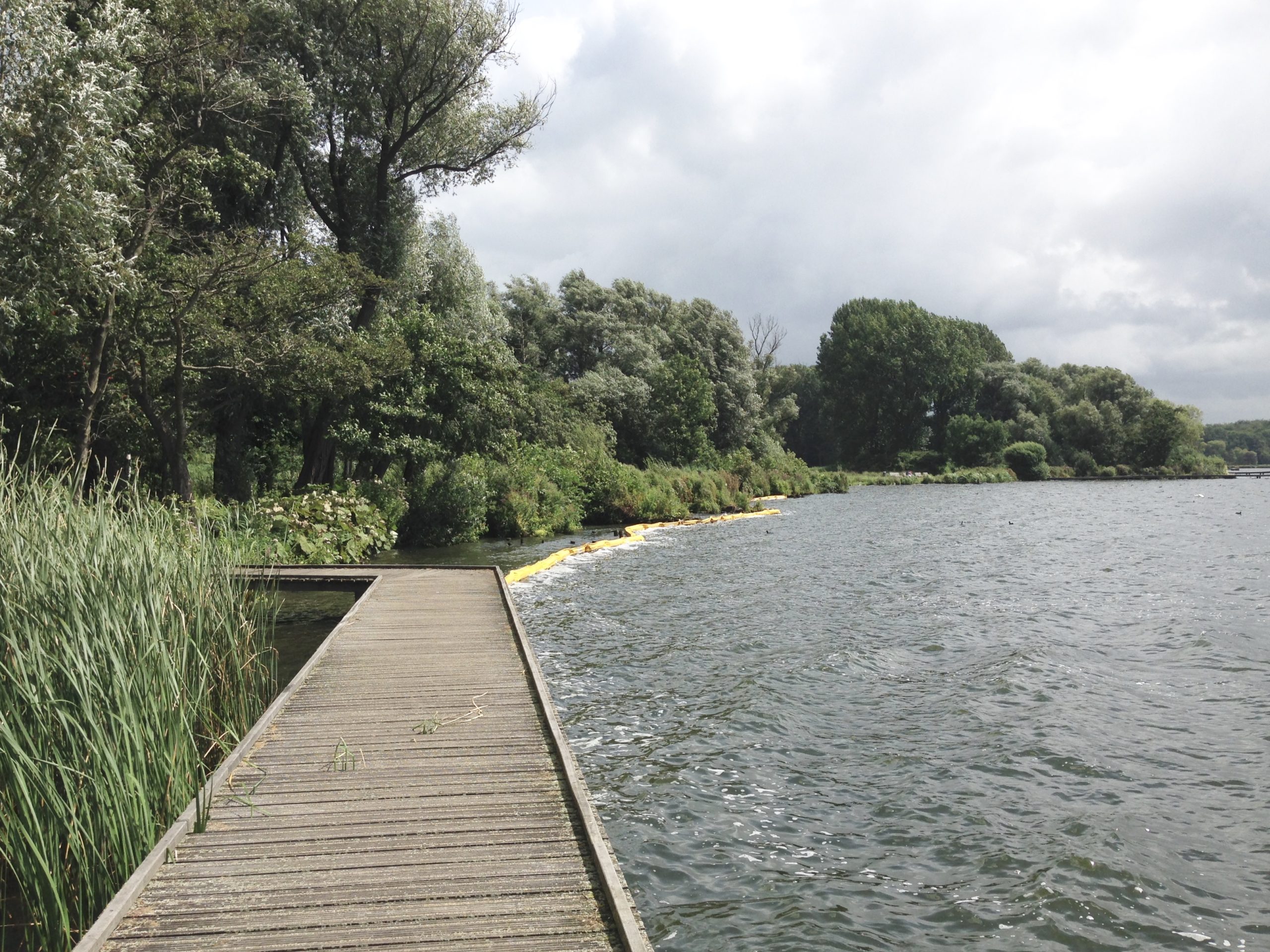 De waterhuishouding in het Kralingse Bos (17 september 2017)