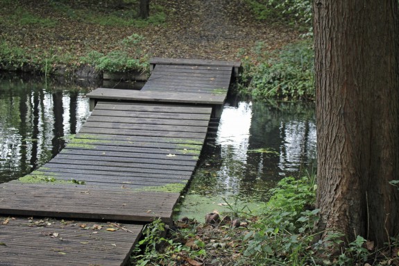 Het Park bruggetje