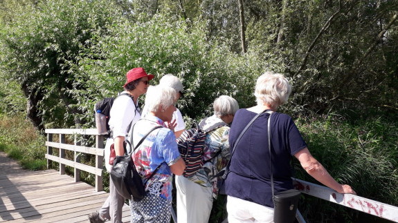 Getijden brug Carnisse Grienden
