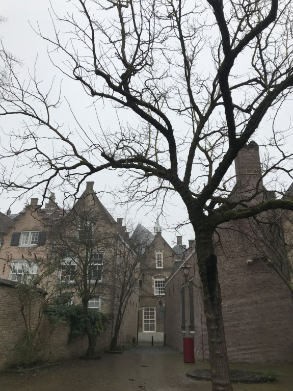 centrum_dordt