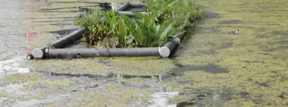 waterperk