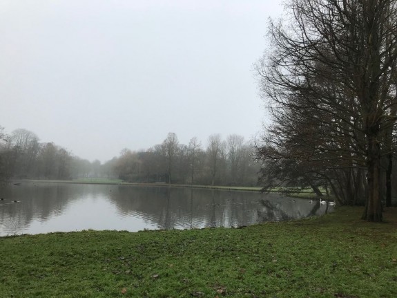 wantij_plas
