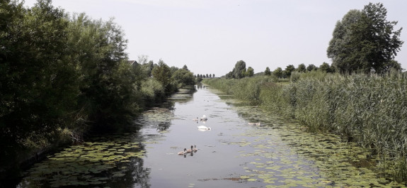koekoeks landschap