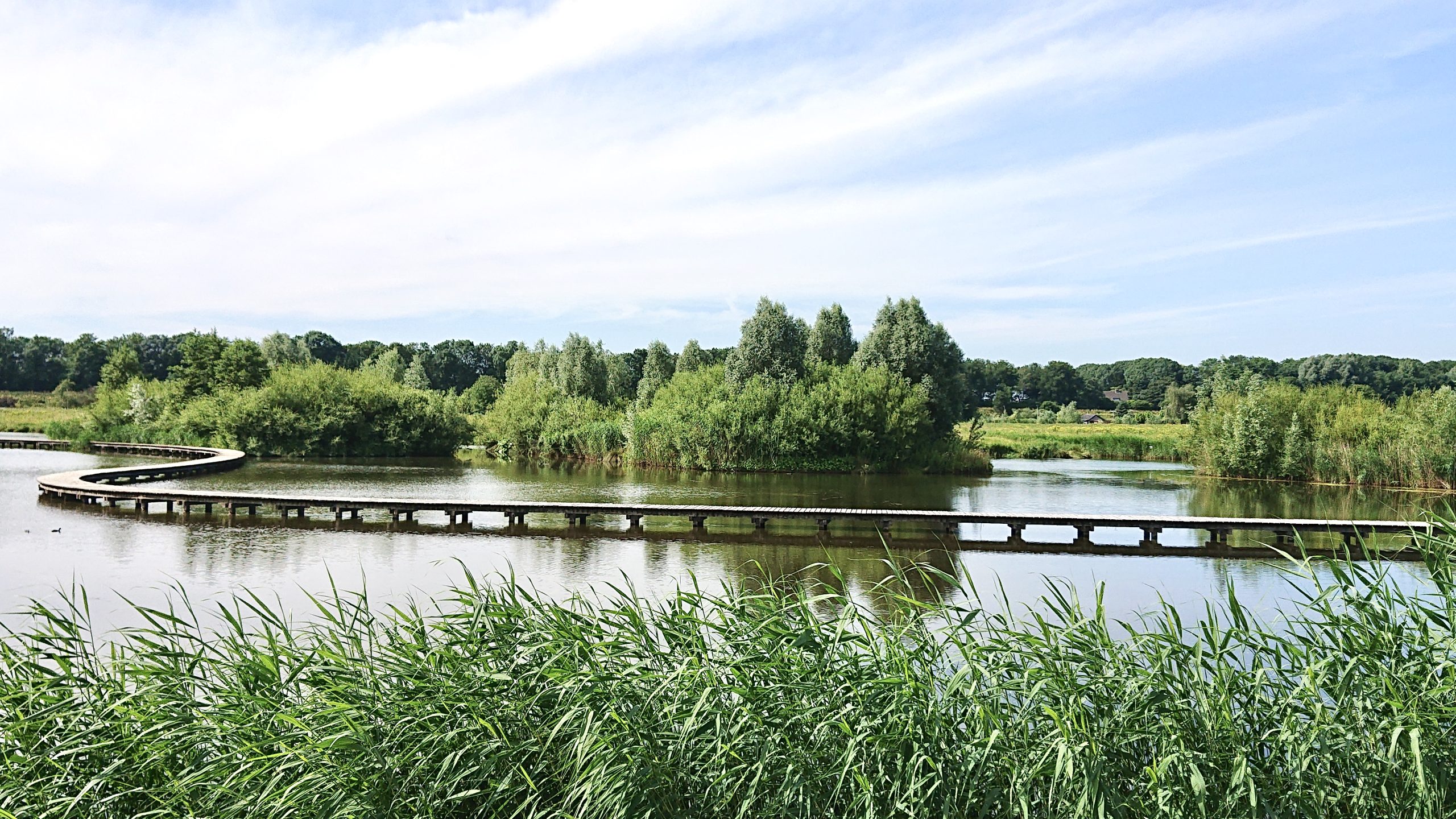 Kronkelend pad over water met omliggende groene vegetatie onder een blauwe hemel.