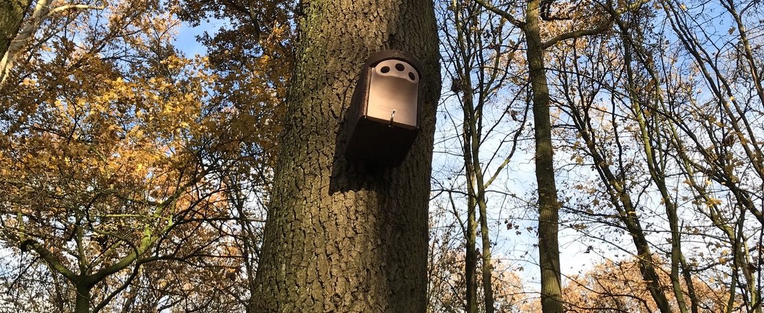 Nestkast aan boom in herfstbos met bladeren en blauwe lucht.