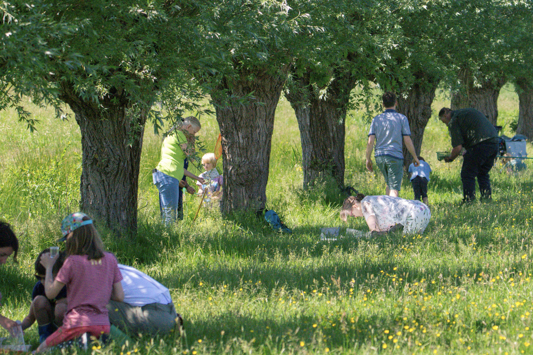 Mensen picknicken en spelen in een zonnige, groene weide vol bomen en bloemen.