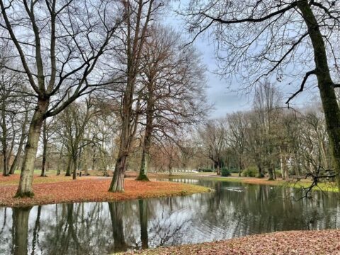 Parklandschap met een vijver, kale bomen en gevallen herfstbladeren, onder een bewolkte hemel.