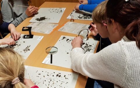 Kinderen onderzoeken materiaal met loeppotjes en pincetten aan een tafel.