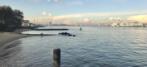 Uitzicht op een brede rivier met boei, industrie aan horizon, en strand links.