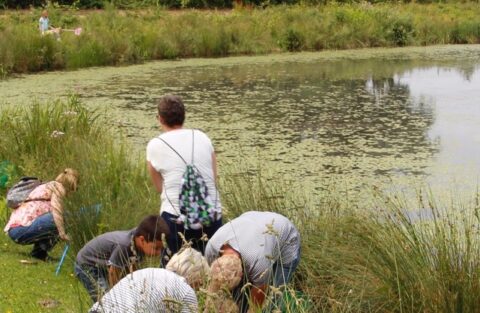 Mensen verzamelen zich bij een vijver omringd door riet en waterplanten, sommigen zoeken iets in het gras.