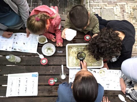 Kinderen onderzoeken watermonsters met loep en gidsen aan een houten tafel.