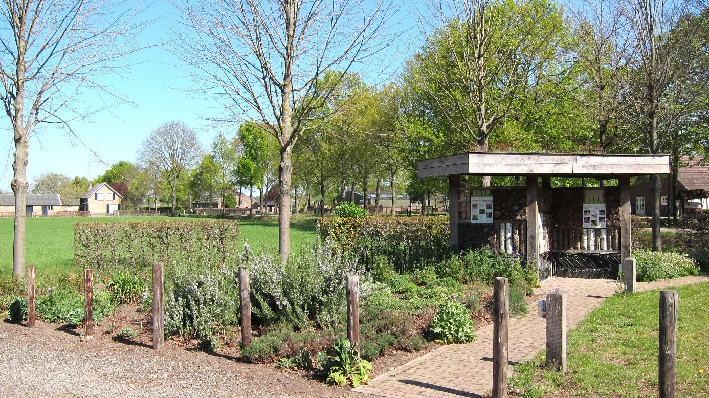 Met ons bijenhotel de zomer van 2020 in