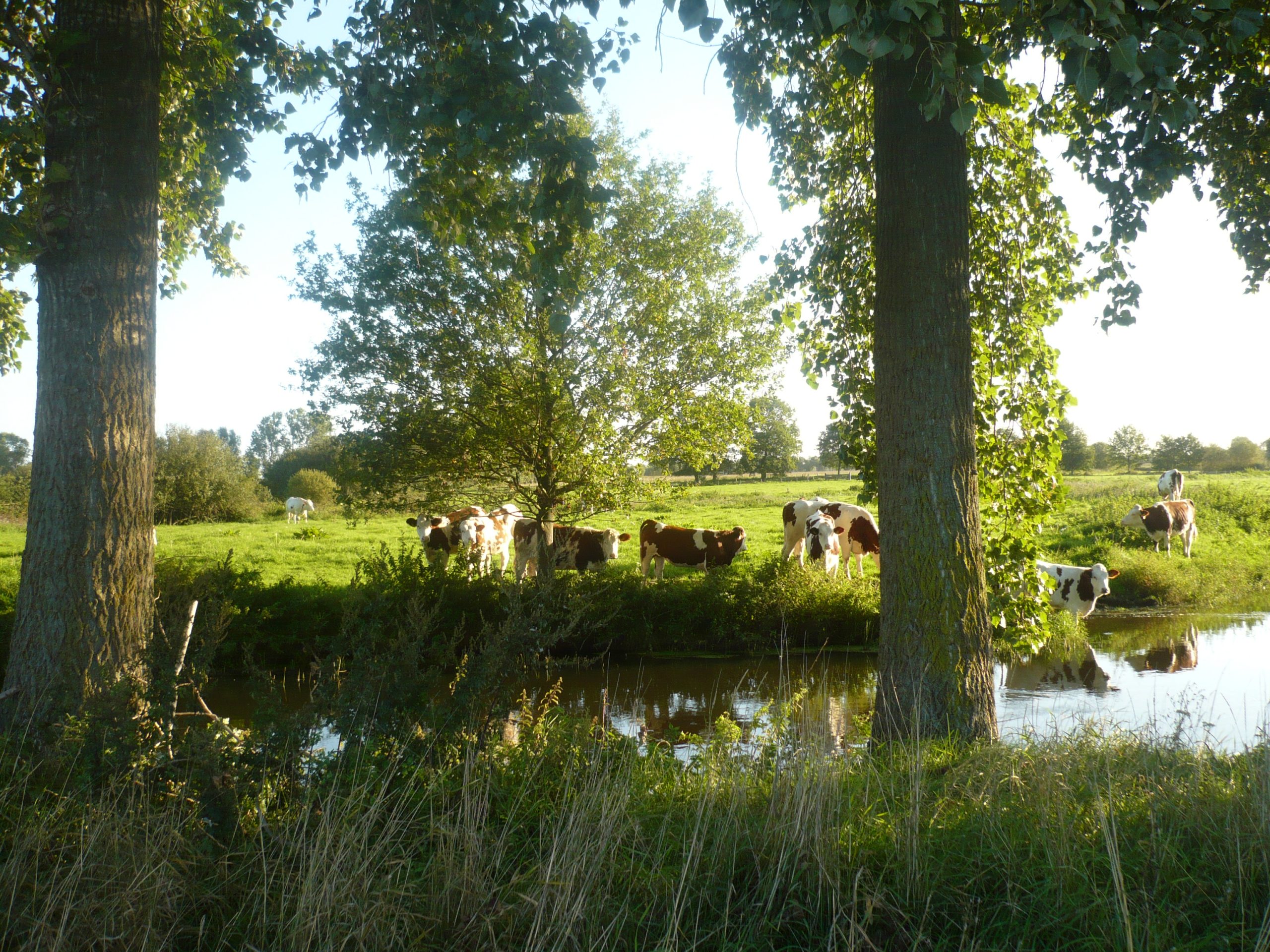 Prachtige wandeling Dommeldal Nijnsel