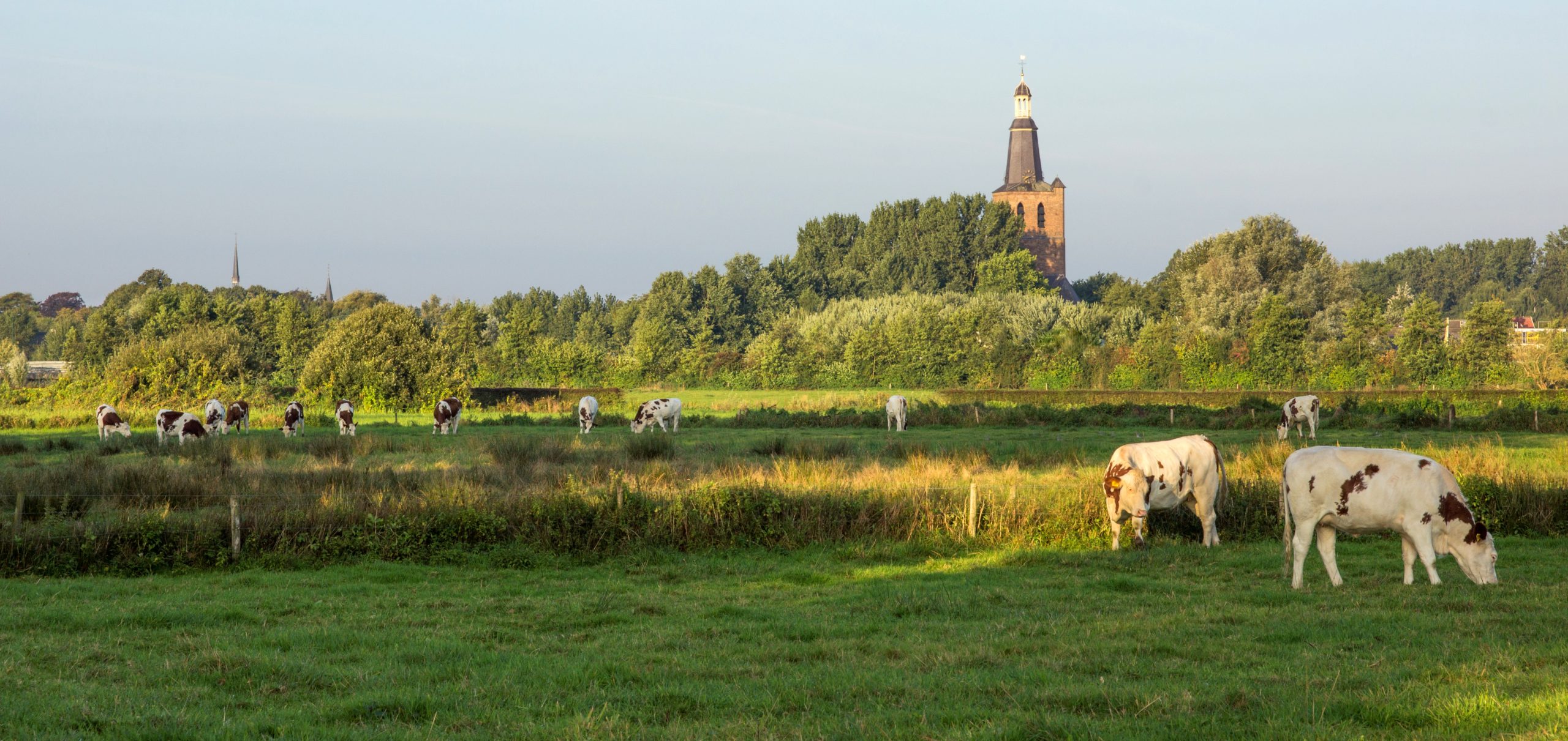 Biowalking Sint-Oedenrode
