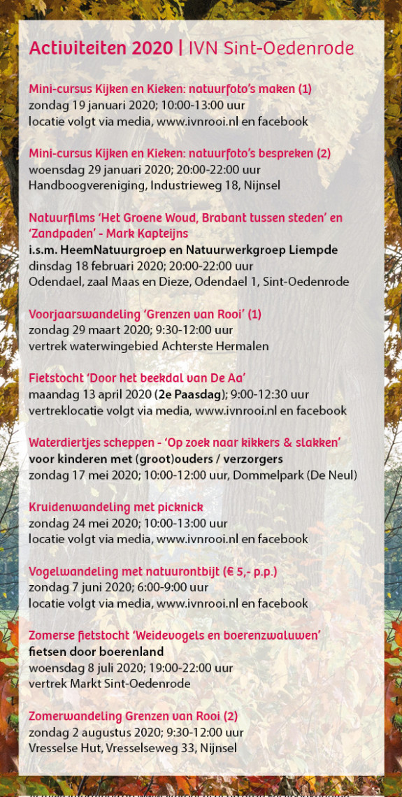 jaarprogramma 1