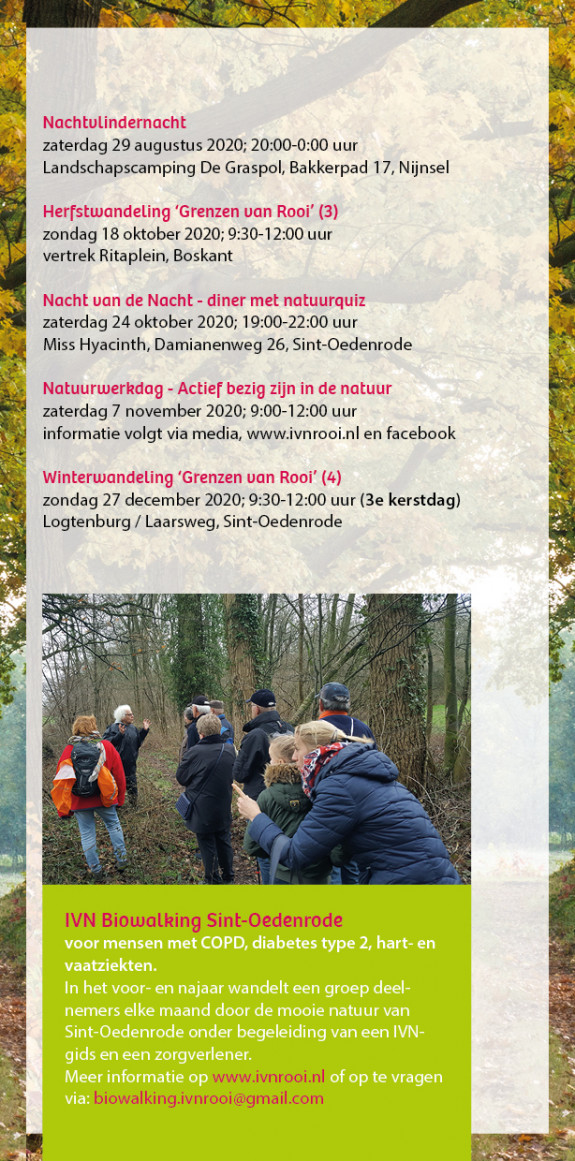 jaarprogramma 2