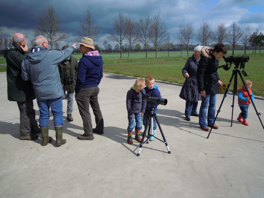 Weidevogels